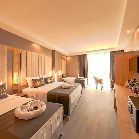 Istanbul Airport Hotel 3*