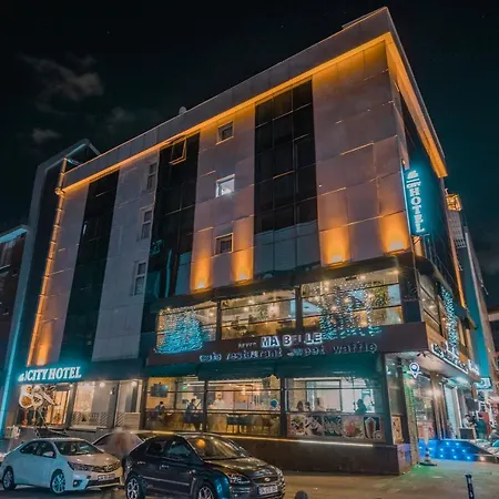 Istanbul Airport Hotel 3*